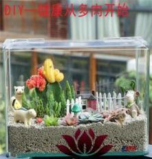 上海清繪園藝養(yǎng)護(hù)服務(wù) 以專業(yè)匠心，守護(hù)城市綠意之美